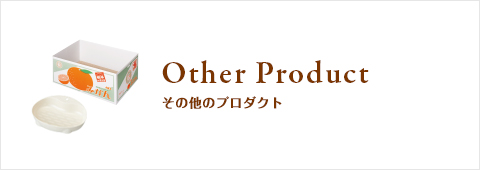 Other Product