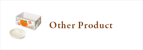 Other Product