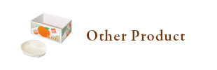 Other Product